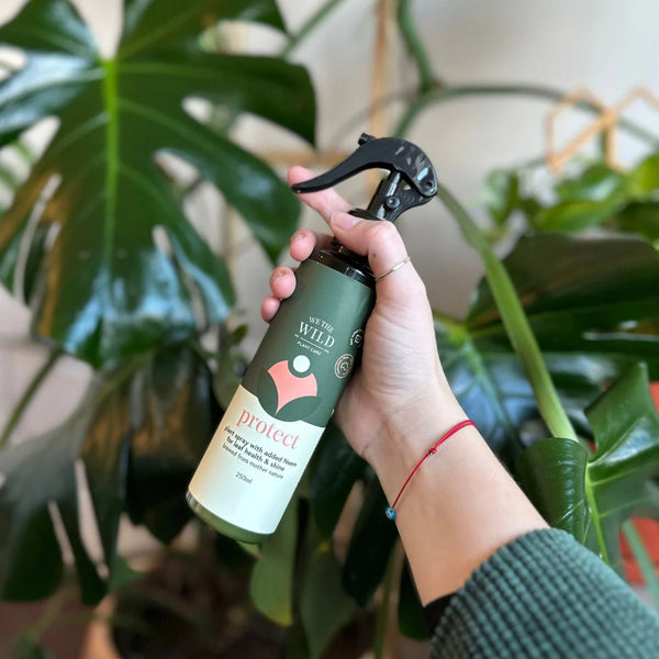 We The Wild: Leaf Care Duo