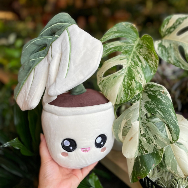 Blushiez: Monstera Deliciosa Albo Variegata Plushie