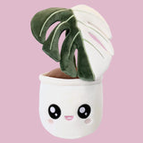 Blushiez: Monstera Deliciosa Albo Variegata Plushie