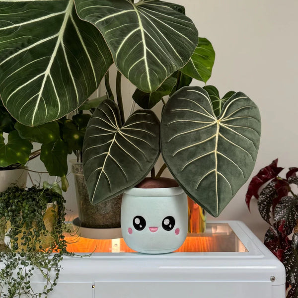 Blushiez: Philodendron Gloriosum Plushie