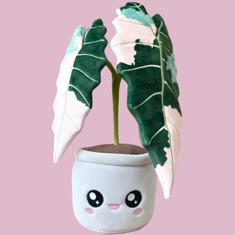 Blushiez: Variegated Alocasia Amazonica Plushie