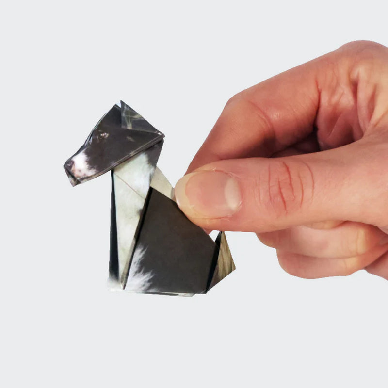 Pikkii: 50 Origami Dogs