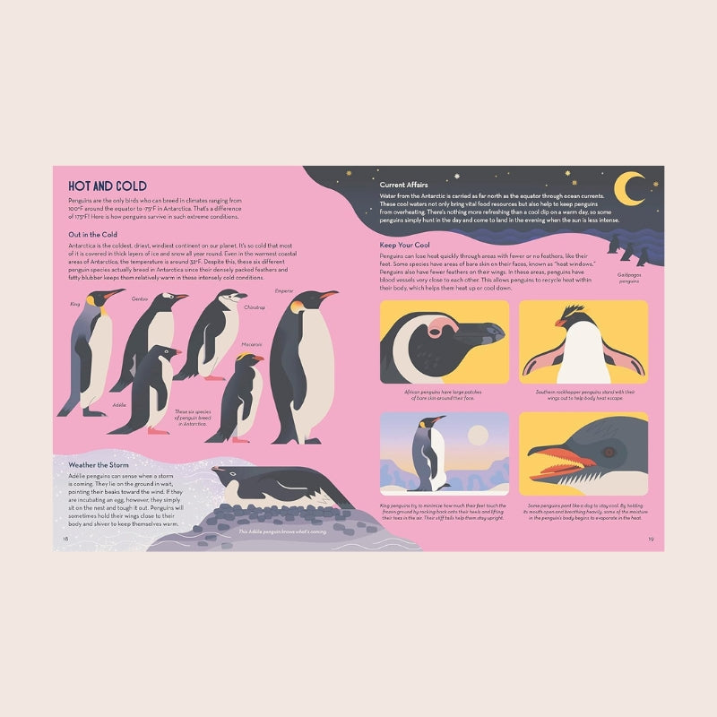 Book: Passionate About Penguins - Owen Davey