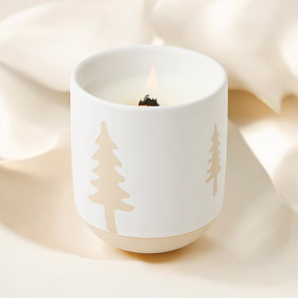 Paddywax: Cypress and Fir Candle (8oz) - White Glass