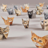 Pikkii: 50 Origami Cats