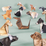 Pikkii: 50 Origami Dogs