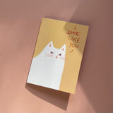 Sunpatch Society: Greeting Card - I Like/Lick You