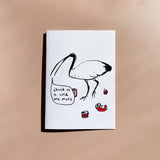 Sunpatch Society: Greeting Card - Chill Ibis / Chuck Us A Cold One Mate