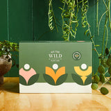 We The Wild: Houseplant Essentials Kit