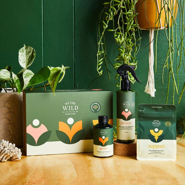 We The Wild: Houseplant Essentials Kit