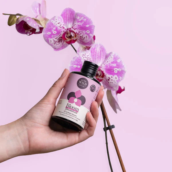 We The Wild: Orchid Care Duo