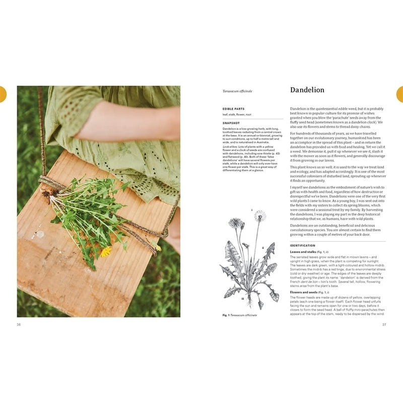 Book: Eat Weeds: A field guide to foraging