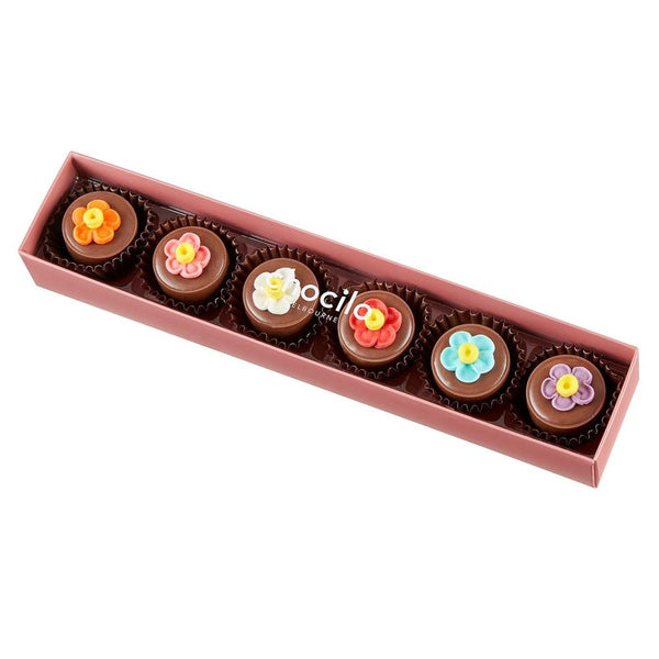 Chocilo: 6 Pack Flower Pot Praline Milk Chocolates (75g)