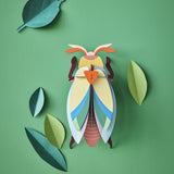 Studio Roof: Wall Art Beetles (A4) - Lunar Jewel Beetle