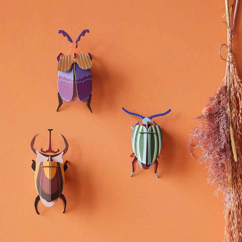 Studio Roof: Wall Art Beetles (B7) - Elephant Beetle