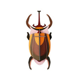 Studio Roof: Wall Art Beetles (B7) - Elephant Beetle