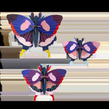 Studio Roof: Wall Art Butterflies (A4) Set Of 3 - Swallowtail Butterfly