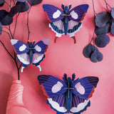 Studio Roof: Wall Art Butterflies (A4) Set Of 3 - Swallowtail Butterfly