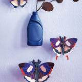 Studio Roof: Wall Art Butterflies (A4) Set Of 3 - Swallowtail Butterfly