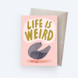 Sunpatch Society: Greeting Card - Life Is Weird Pigeon