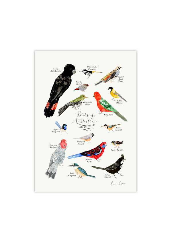 To The Trees: A4 Print - Some Birds Of Australia