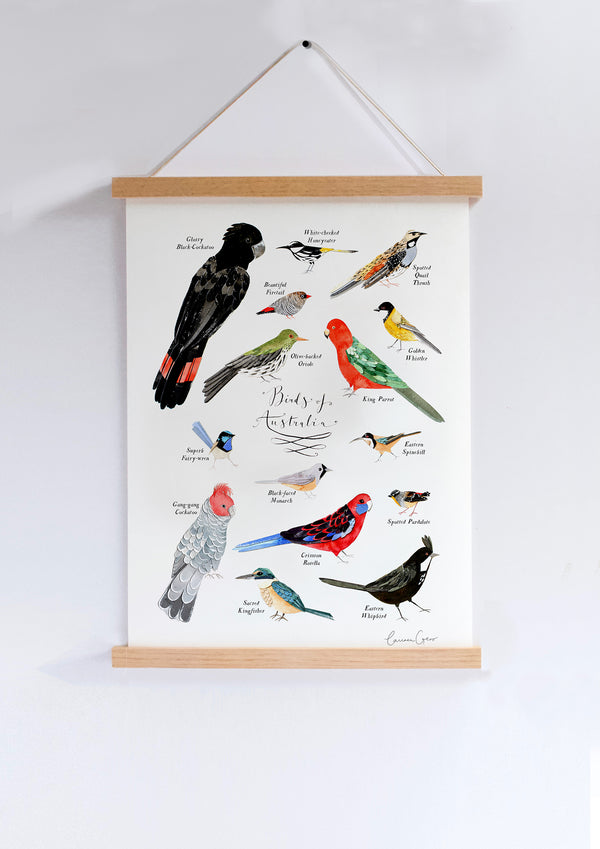 To The Trees: A4 Print - Some Birds Of Australia